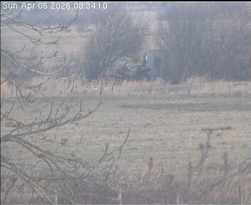 Archiv Foto Webcam Wrixum - Inselhotel Arfsten