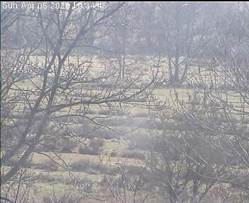 Archiv Foto Webcam Wrixum - Inselhotel Arfsten