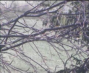 Archiv Foto Webcam Wrixum - Inselhotel Arfsten