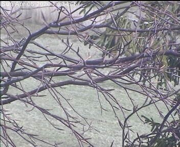 Archiv Foto Webcam Wrixum - Inselhotel Arfsten