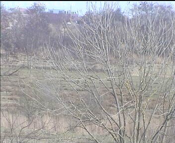 Archiv Foto Webcam Wrixum - Inselhotel Arfsten