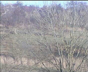 Archiv Foto Webcam Wrixum - Inselhotel Arfsten