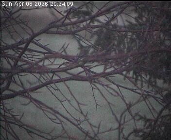 Archiv Foto Webcam Wrixum - Inselhotel Arfsten