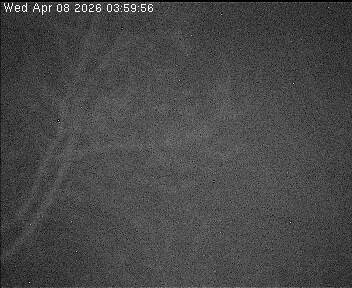 Archiv Foto Webcam Wrixum - Inselhotel Arfsten