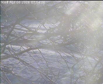 Archiv Foto Webcam Wrixum - Inselhotel Arfsten