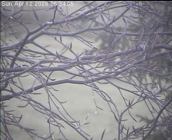 Archiv Foto Webcam Wrixum - Inselhotel Arfsten