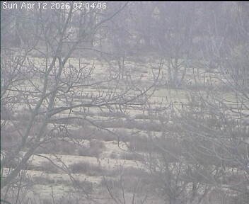 Archiv Foto Webcam Wrixum - Inselhotel Arfsten