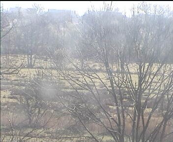 Archiv Foto Webcam Wrixum - Inselhotel Arfsten