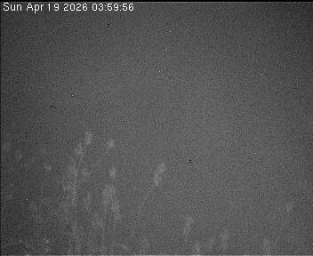 Archived image Webcam Wrixum - Panorama