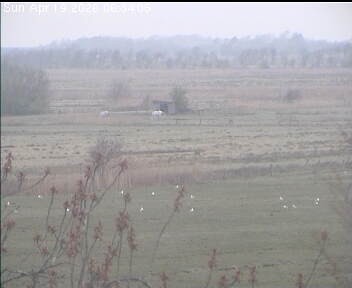 Archived image Webcam Wrixum - Panorama