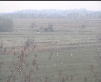 Archived image Webcam Wrixum - Panorama