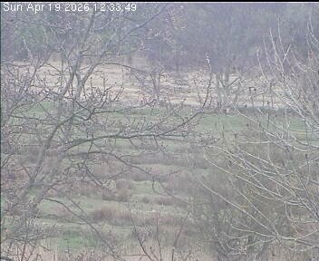 Archived image Webcam Wrixum - Panorama