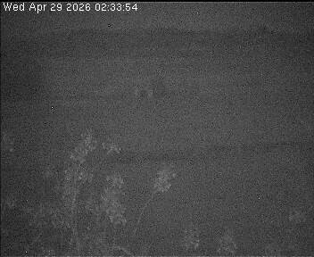 Archived image Webcam Wrixum - Panorama