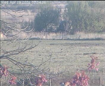 Archived image Webcam Wrixum - Panorama