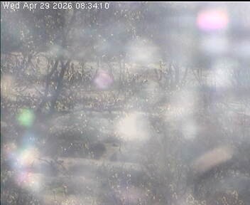 Archived image Webcam Wrixum - Panorama