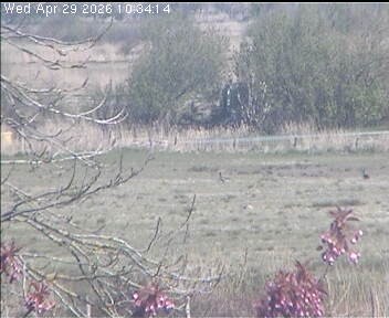 Archived image Webcam Wrixum - Panorama