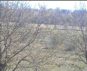 Archiv Foto Webcam Wrixum - Inselhotel Arfsten