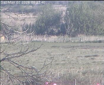 Archiv Foto Webcam Wrixum - Inselhotel Arfsten