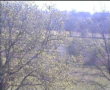 Archiv Foto Webcam Wrixum - Inselhotel Arfsten