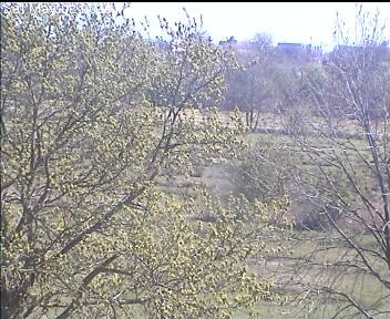 Archiv Foto Webcam Wrixum - Inselhotel Arfsten