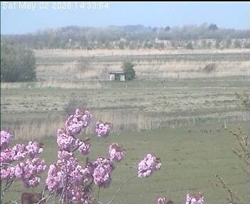 Archiv Foto Webcam Wrixum - Inselhotel Arfsten