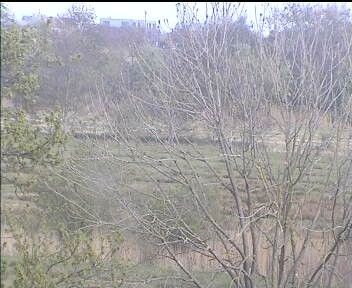 Archiv Foto Webcam Wrixum - Inselhotel Arfsten