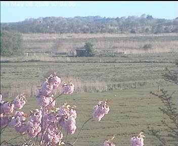 Archiv Foto Webcam Wrixum - Inselhotel Arfsten