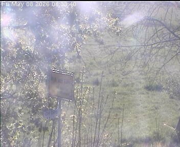 Archiv Foto Webcam Wrixum - Inselhotel Arfsten