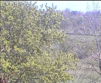 Archiv Foto Webcam Wrixum - Inselhotel Arfsten