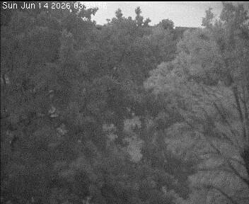 Archiv Foto Webcam Wrixum - Inselhotel Arfsten