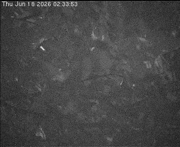 Archived image Webcam Wrixum - Panorama