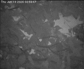 Archived image Webcam Wrixum - Panorama