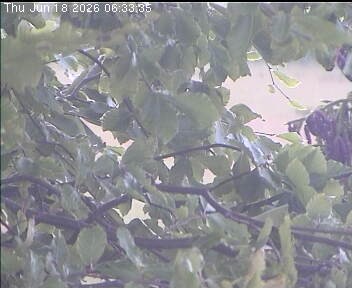 Archived image Webcam Wrixum - Panorama