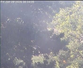 Archived image Webcam Wrixum - Panorama