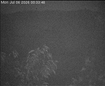 Archiv Foto Webcam Wrixum - Inselhotel Arfsten