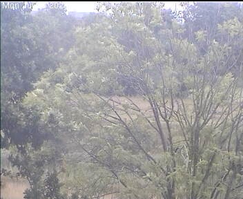 Archiv Foto Webcam Wrixum - Inselhotel Arfsten