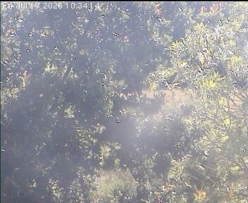 Archived image Webcam Wrixum - Panorama