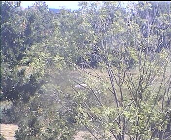 Archived image Webcam Wrixum - Panorama