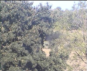 Archived image Webcam Wrixum - Panorama