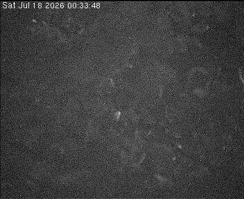Archiv Foto Webcam Wrixum - Inselhotel Arfsten