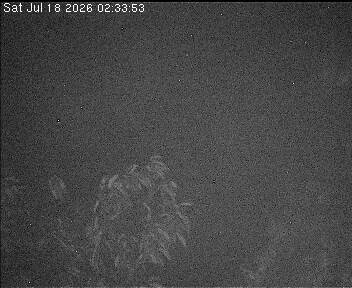 Archiv Foto Webcam Wrixum - Inselhotel Arfsten