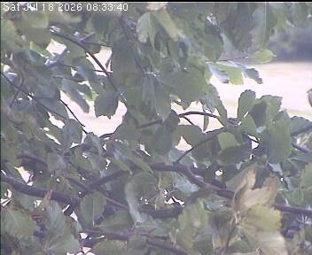 Archiv Foto Webcam Wrixum - Inselhotel Arfsten