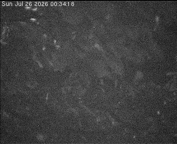 Archiv Foto Webcam Wrixum - Inselhotel Arfsten