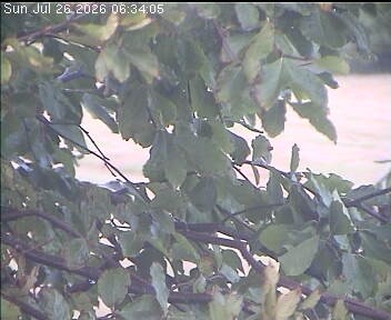 Archiv Foto Webcam Wrixum - Inselhotel Arfsten