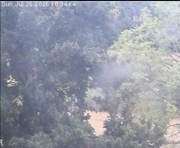 Archiv Foto Webcam Wrixum - Inselhotel Arfsten