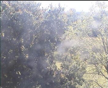 Archived image Webcam Wrixum - Panorama