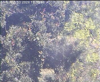 Archived image Webcam Wrixum - Panorama