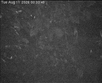 Archiv Foto Webcam Wrixum - Inselhotel Arfsten