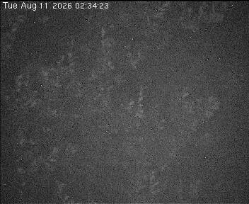 Archiv Foto Webcam Wrixum - Inselhotel Arfsten
