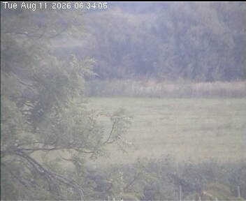 Archiv Foto Webcam Wrixum - Inselhotel Arfsten